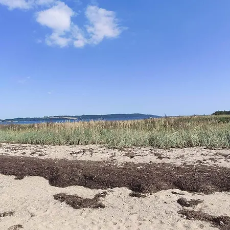 4 Person In Borkop-by Traum